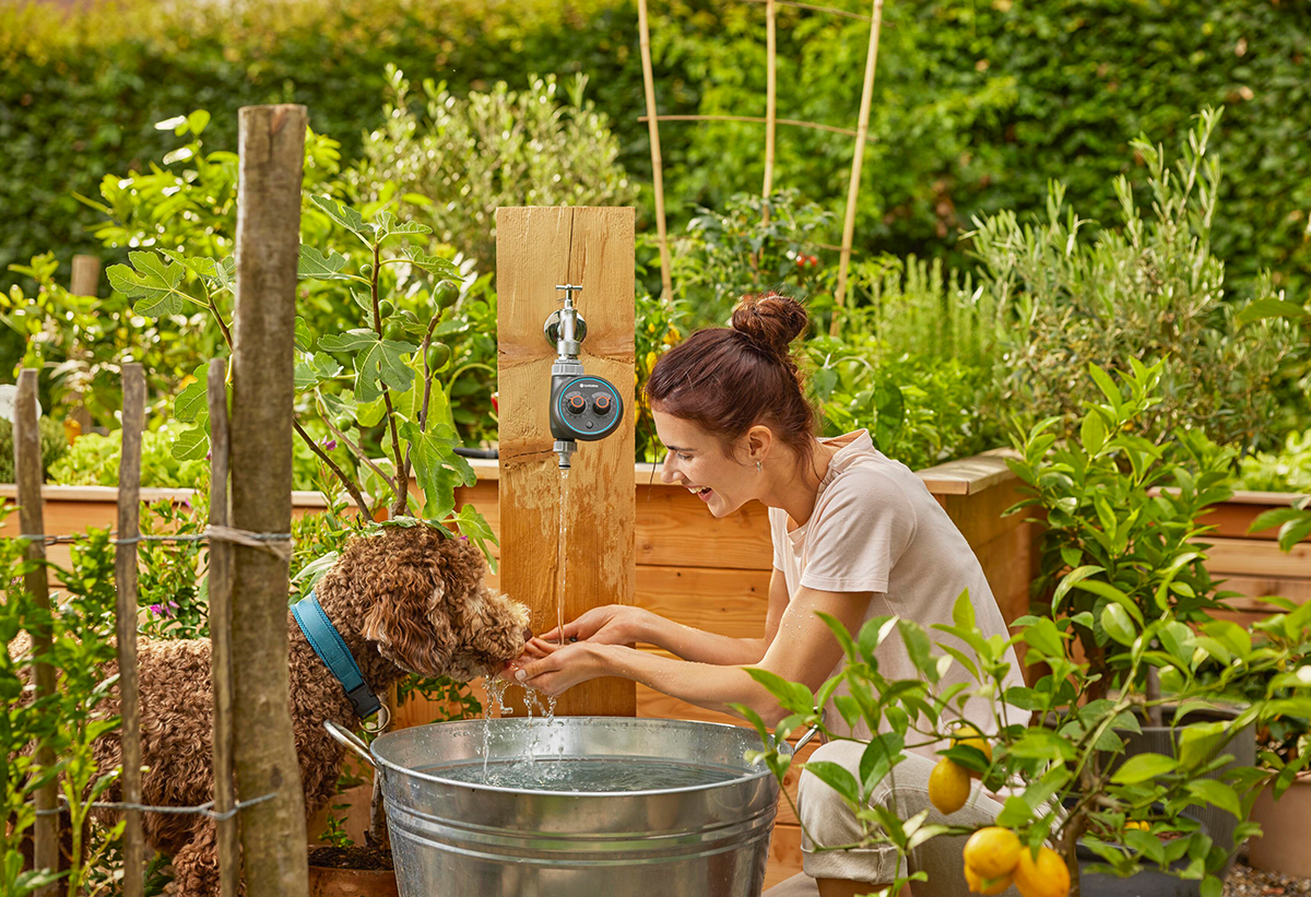 Απεικονίζεται να τρέχει νερό από τον προγραμματιστή στα χέρια μιας γυναίκας που βρίσκεται άνω από ένα δοχείο.